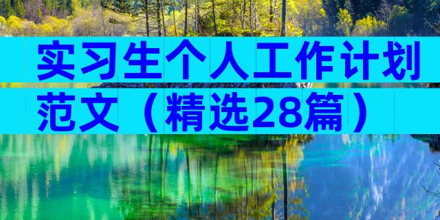 实习生个人工作计划范文（精选28篇）