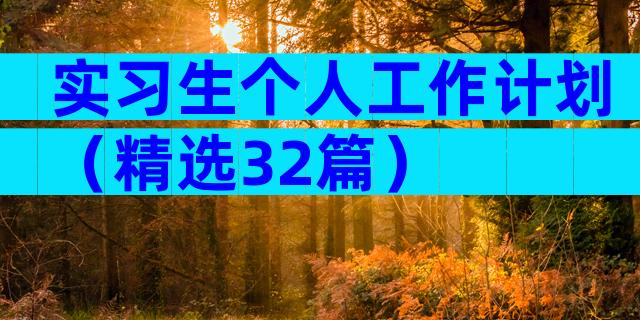 实习生个人工作计划（精选32篇）