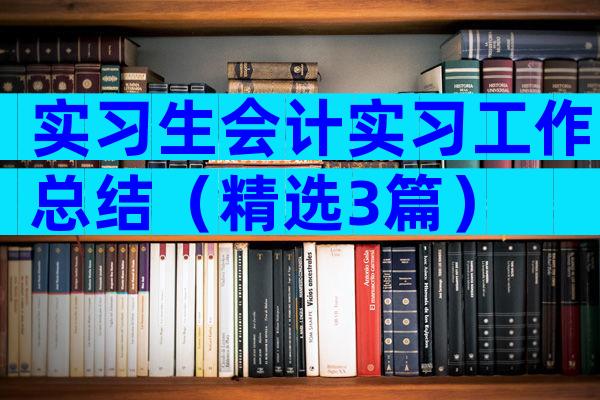 实习生会计实习工作总结（精选3篇）