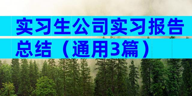 实习生公司实习报告总结（通用3篇）