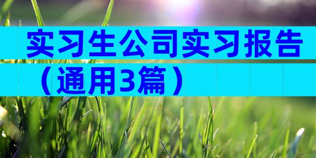 实习生公司实习报告（通用3篇）