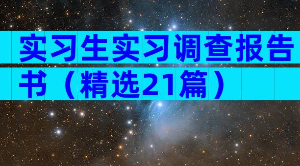 实习生实习调查报告书（精选21篇）