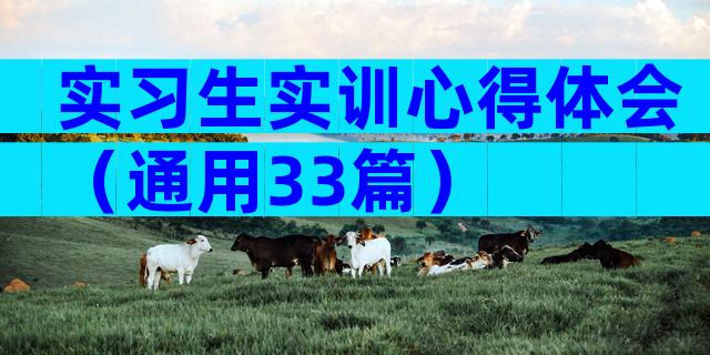 实习生实训心得体会（通用33篇）