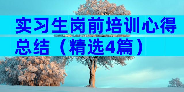 实习生岗前培训心得总结（精选4篇）