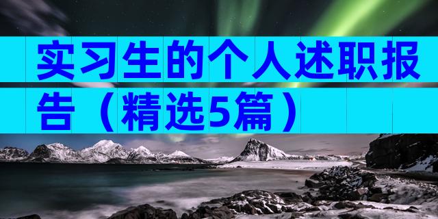 实习生的个人述职报告（精选5篇）