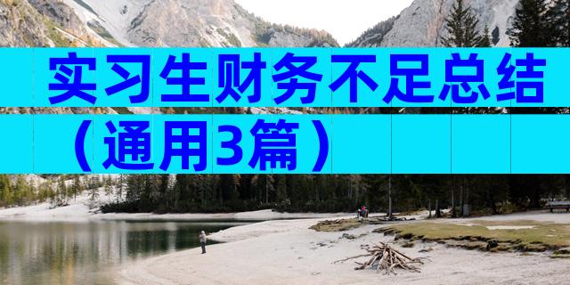 实习生财务不足总结（通用3篇）