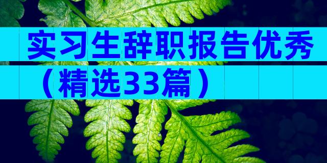 实习生辞职报告优秀（精选33篇）