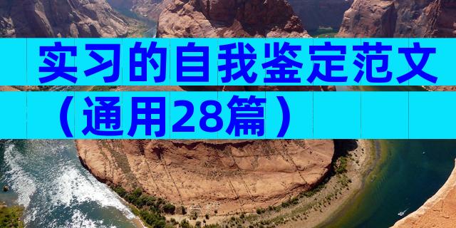 实习的自我鉴定范文（通用28篇）