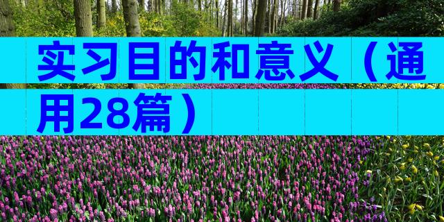 实习目的和意义（通用28篇）