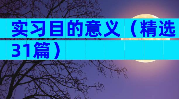 实习目的意义（精选31篇）