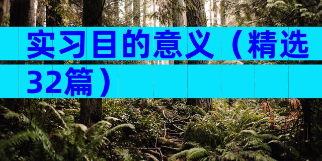 实习目的意义（精选32篇）