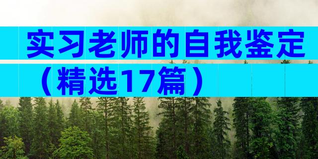 实习老师的自我鉴定（精选17篇）