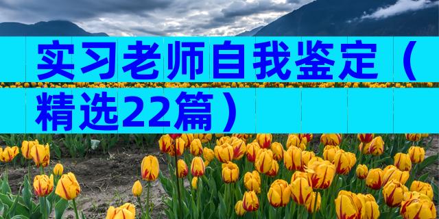 实习老师自我鉴定（精选22篇）