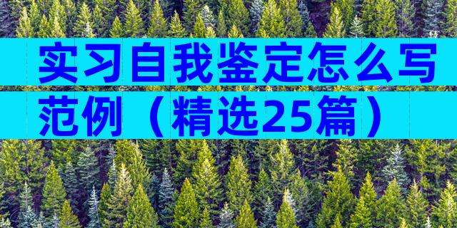 实习自我鉴定怎么写范例（精选25篇）