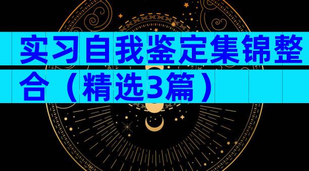 实习自我鉴定集锦整合（精选3篇）