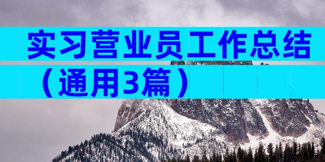 实习营业员工作总结（通用3篇）