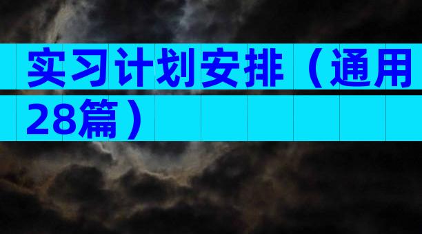 实习计划安排（通用28篇）