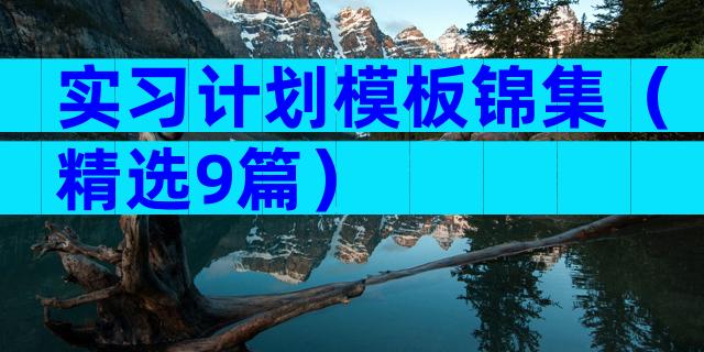 实习计划模板锦集（精选9篇）