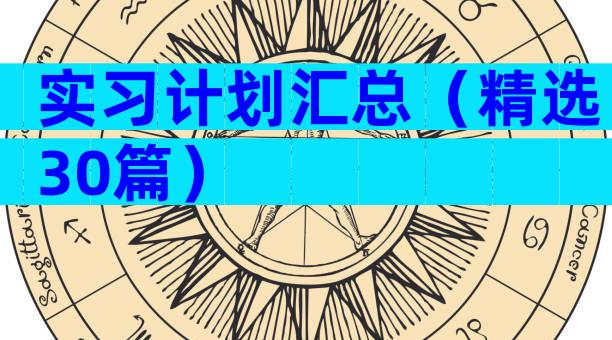 实习计划汇总（精选30篇）