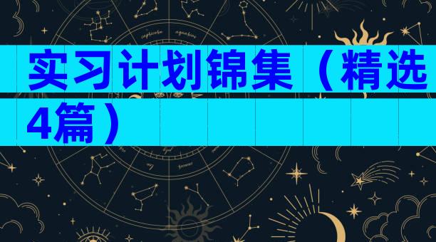 实习计划锦集（精选4篇）