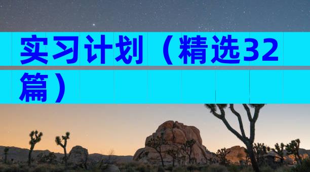 实习计划（精选32篇）
