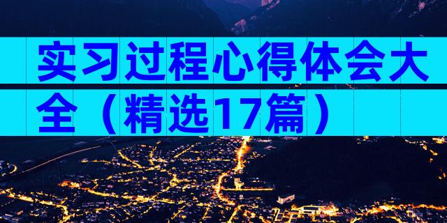 实习过程心得体会大全（精选17篇）