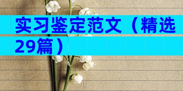 实习鉴定范文（精选29篇）