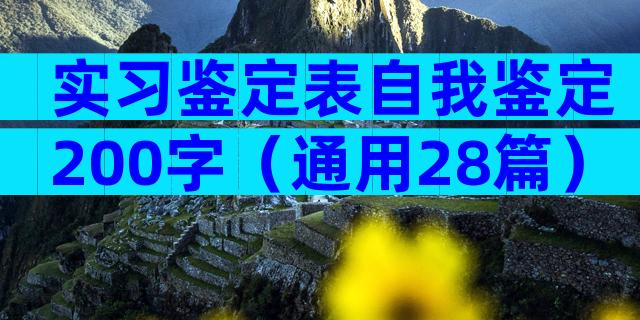 实习鉴定表自我鉴定200字（通用28篇）