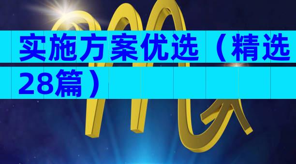 实施方案优选（精选28篇）