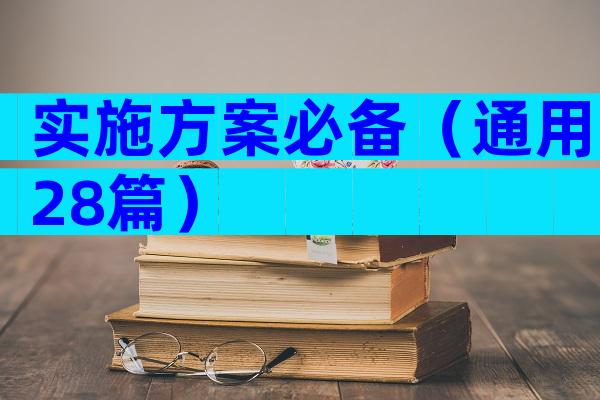 实施方案必备（通用28篇）