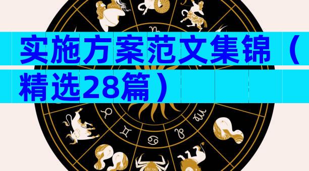 实施方案范文集锦（精选28篇）