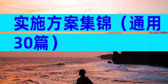 实施方案集锦（通用30篇）