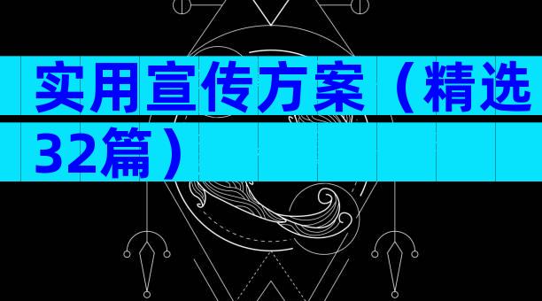 实用宣传方案（精选32篇）