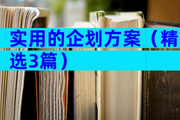 实用的企划方案（精选3篇）