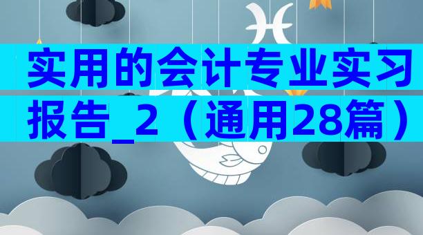 实用的会计专业实习报告_2（通用28篇）