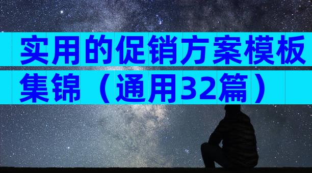 实用的促销方案模板集锦（通用32篇）