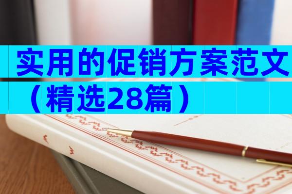 实用的促销方案范文（精选28篇）