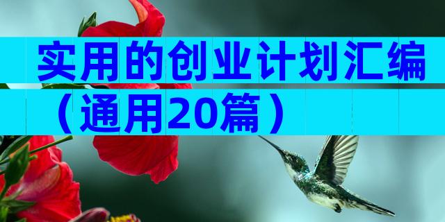 实用的创业计划汇编（通用20篇）