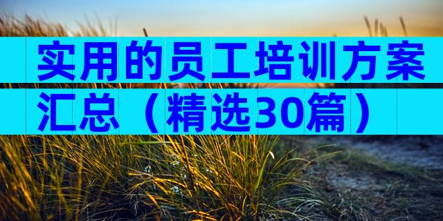 实用的员工培训方案汇总（精选30篇）