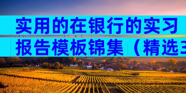 实用的在银行的实习报告模板锦集（精选33篇）