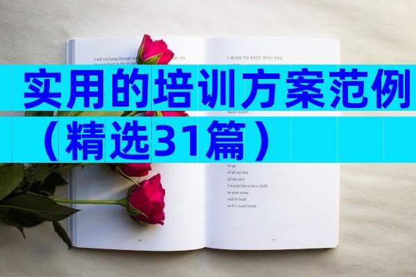 实用的培训方案范例（精选31篇）