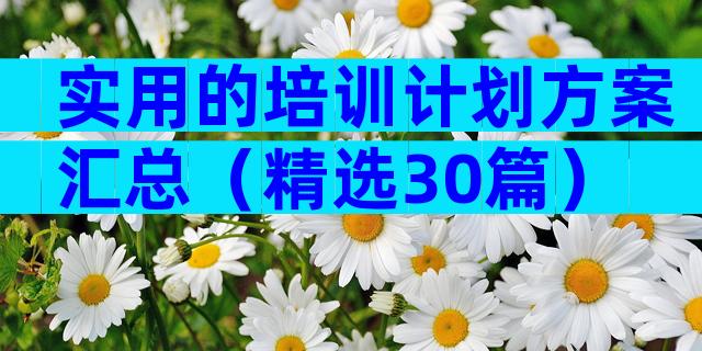 实用的培训计划方案汇总（精选30篇）