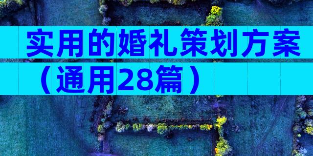 实用的婚礼策划方案（通用28篇）