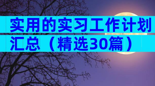 实用的实习工作计划汇总（精选30篇）