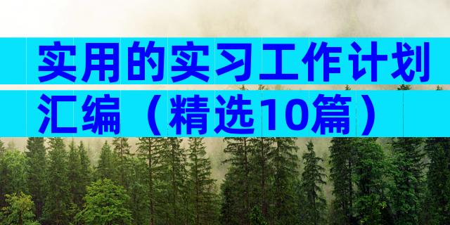 实用的实习工作计划汇编（精选10篇）