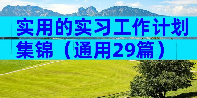 实用的实习工作计划集锦（通用29篇）