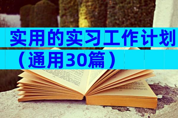 实用的实习工作计划（通用30篇）