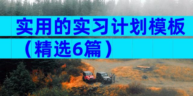 实用的实习计划模板（精选6篇）