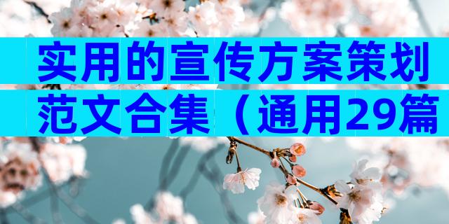 实用的宣传方案策划范文合集（通用29篇）