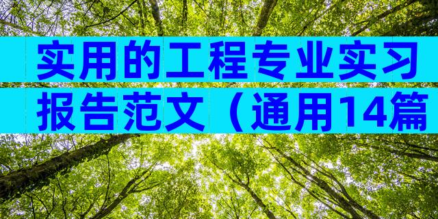 实用的工程专业实习报告范文（通用14篇）